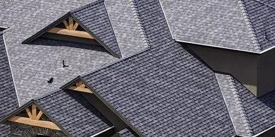 Slide of TDS Restoration