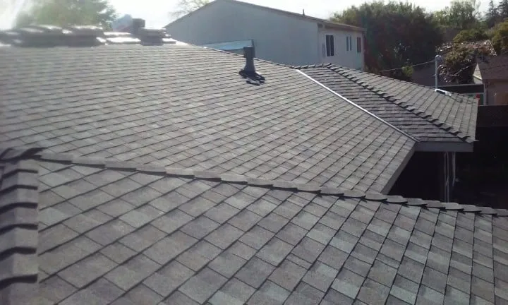 Slide of Teal City Roofing