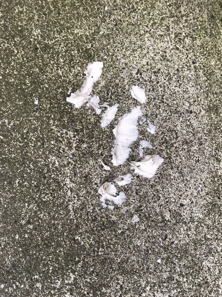 Slide of Teams General Roofing