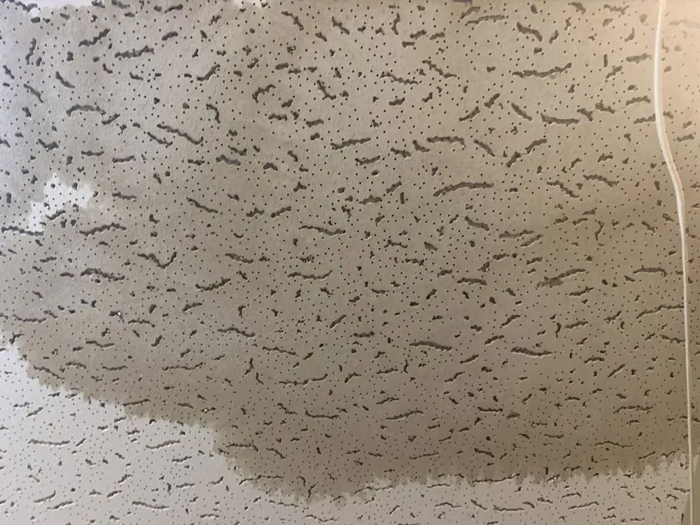 Slide of Ted Guilmette Roofing