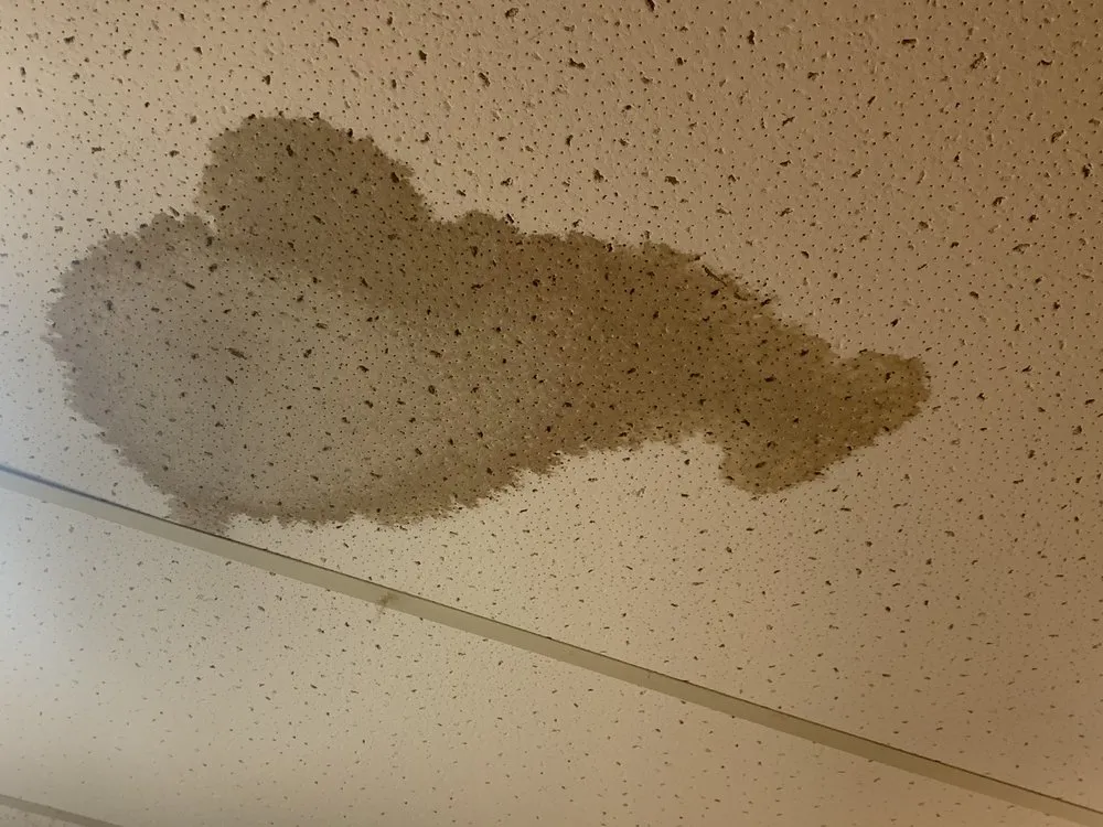 Slide of Ted Guilmette Roofing