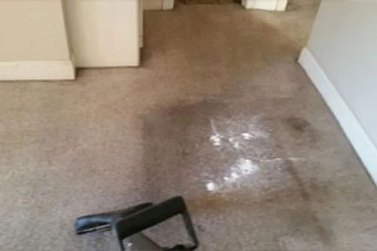 Slide of Teddy Bear Services