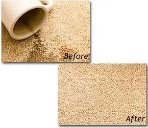 Slide of Teddy Bear Services