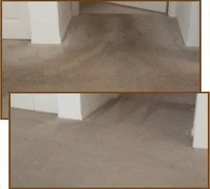 Slide of Teddy Bear Services