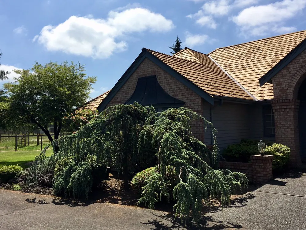 Slide of Tedrick's Roofing