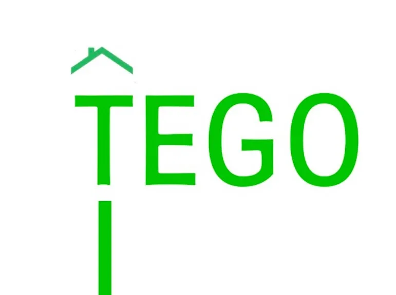 Slide of Tego