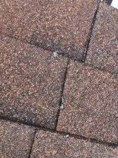 Slide of Temo Roofing and Metal