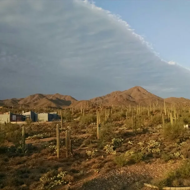 Local residential roofing service in Tuscon, AZ by Terra Nova Roofing Solutions