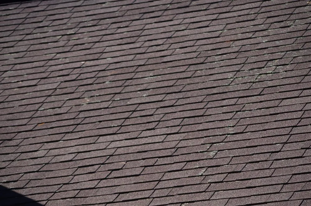 Slide of Terrys Power Washing Roof Cleaning