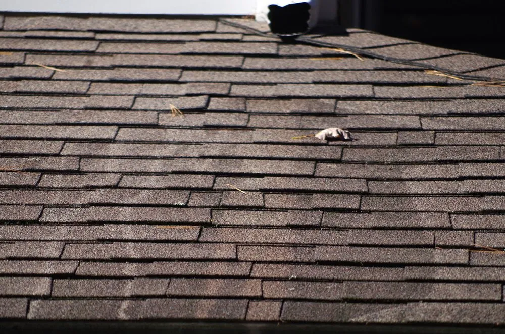 Slide of Terrys Power Washing Roof Cleaning