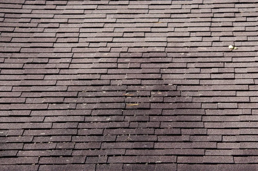 Slide of Terrys Power Washing Roof Cleaning