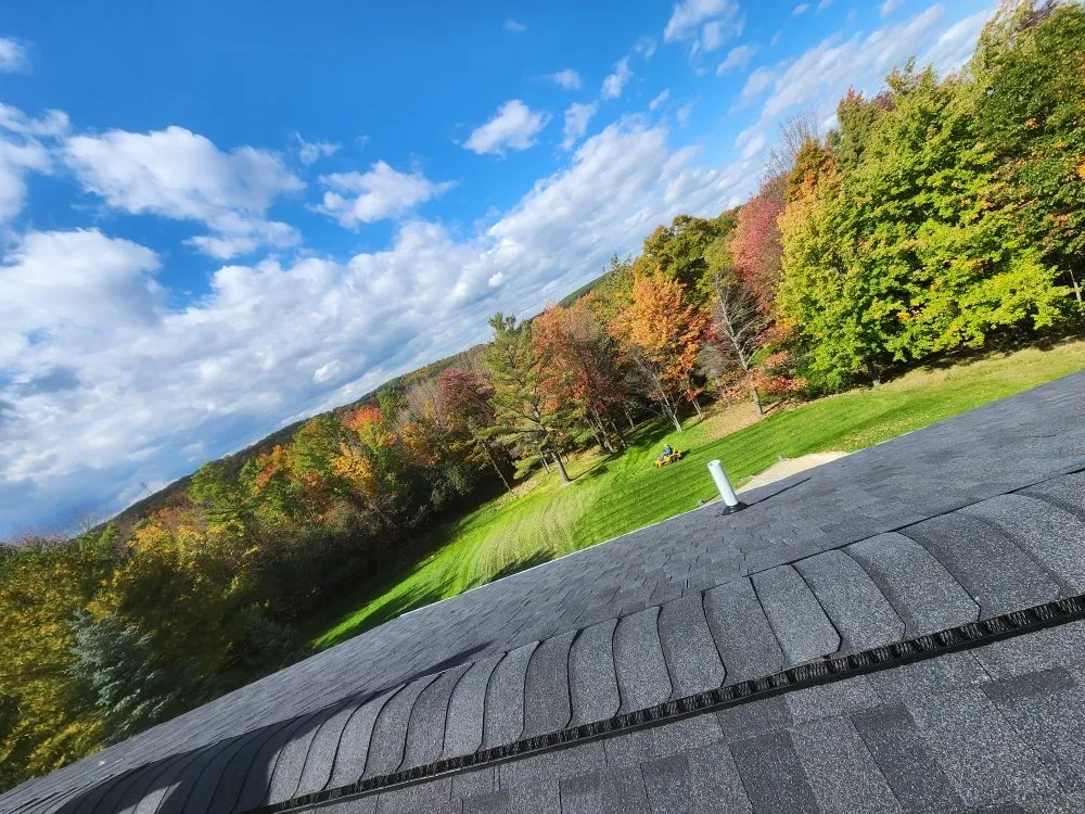 Slide of Testa Roofing