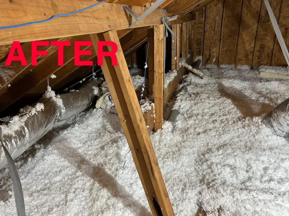 Slide of Texans Choice