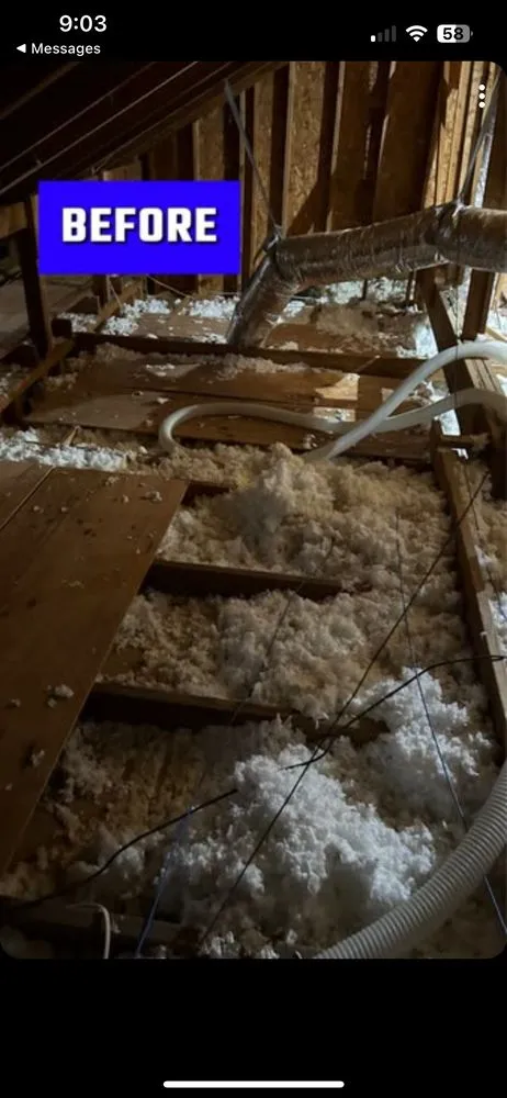 Slide of Texans Choice