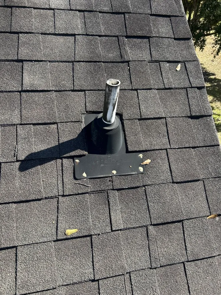 Slide of Texans Choice