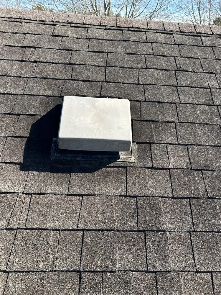 Slide of Texans Choice