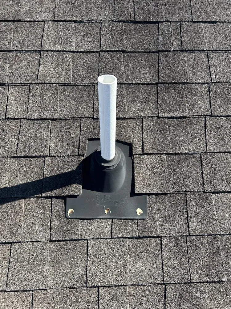 Slide of Texans Choice