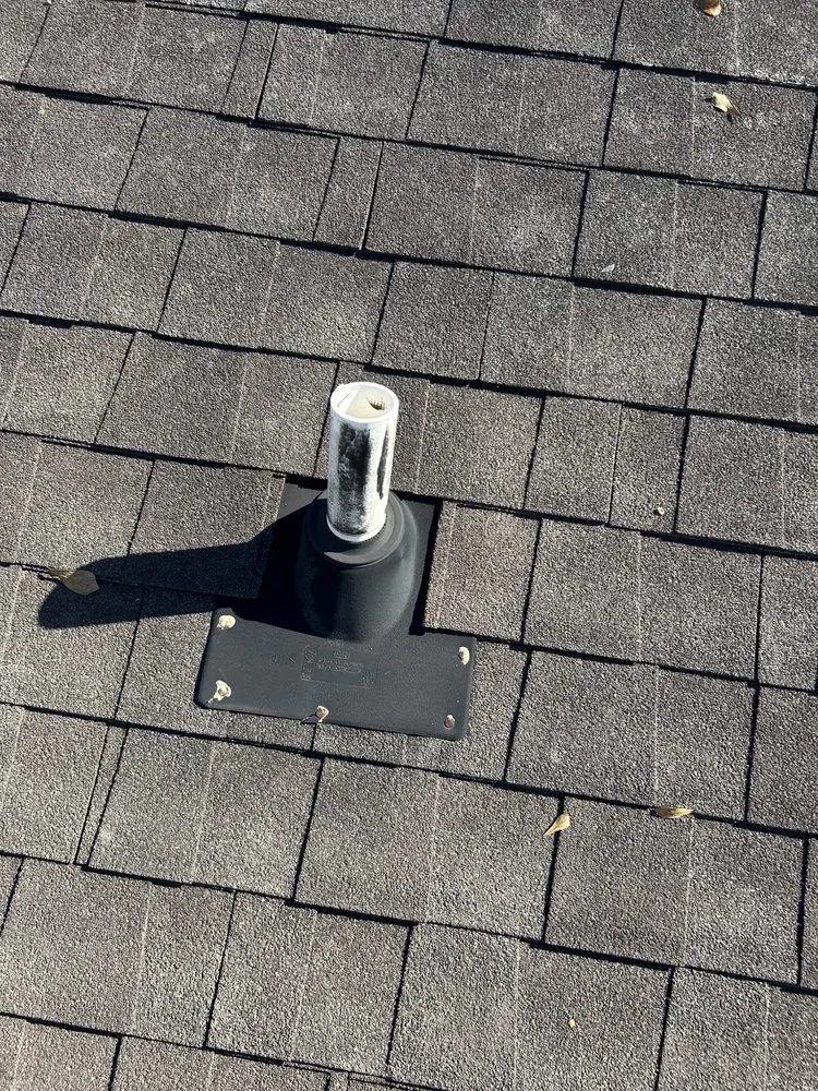 Slide of Texans Choice