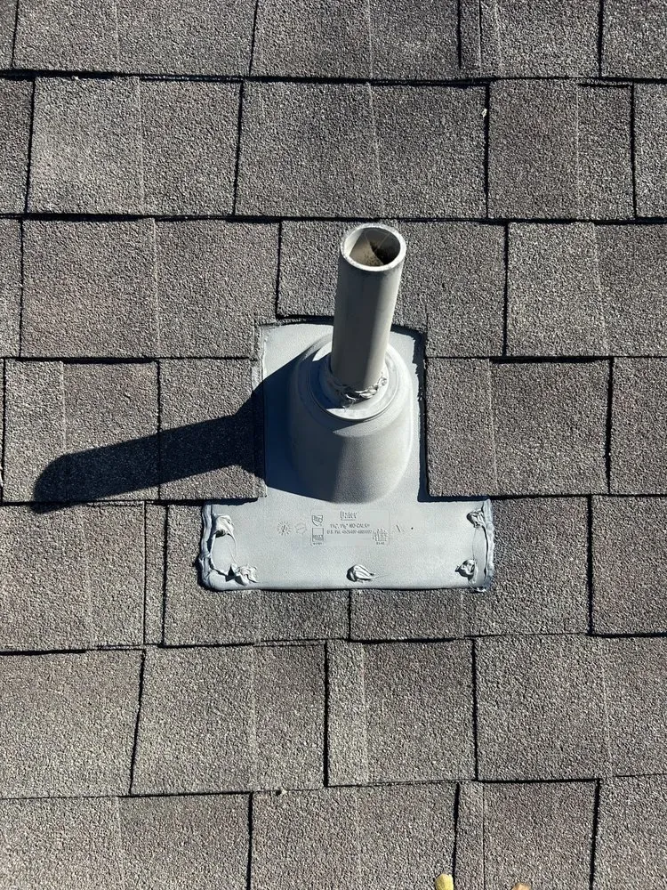 Slide of Texans Choice