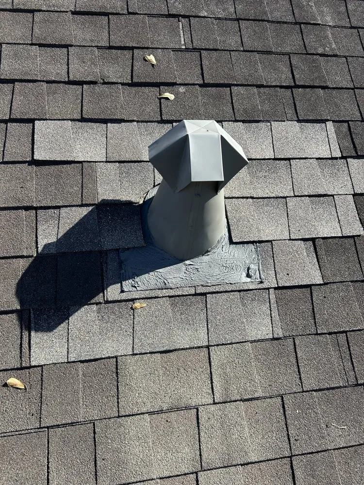 Slide of Texans Choice