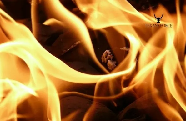 Slide of Texans Force