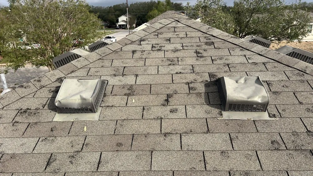 Slide of Texas Build