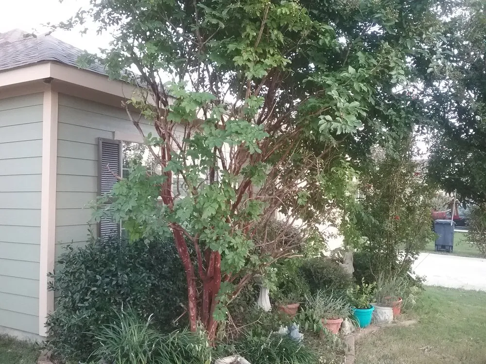 Slide of Texas Elite Roofing And Construction