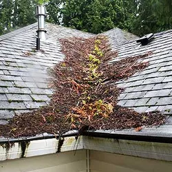 Slide of Texas Master Roofing