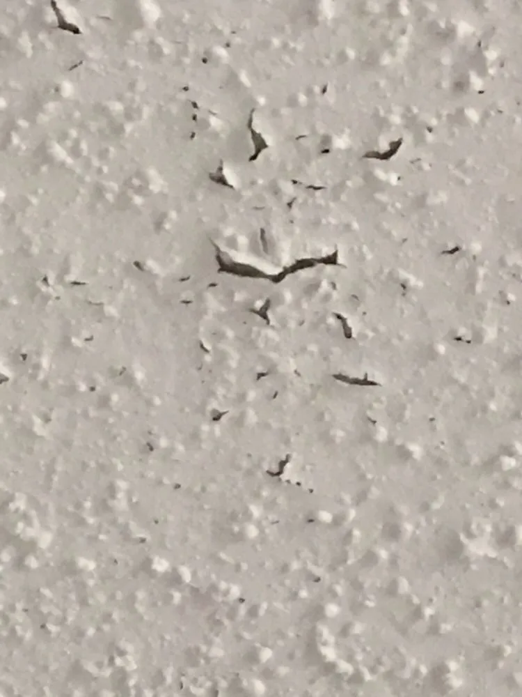 Slide of Texas Premier Roofing