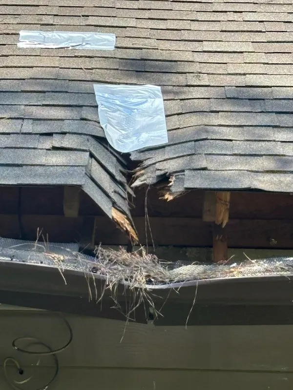 Slide of Texas Real Property Consultants