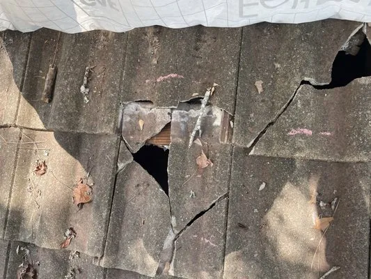 Texas Real Property Consultants Logo