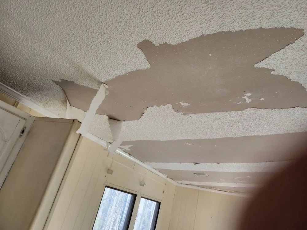 Slide of That Guy Handyman