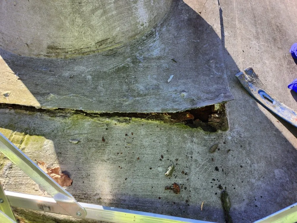 Slide of That Guy Handyman