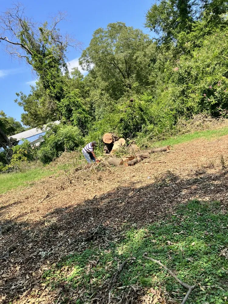 Slide of That guy landscaping