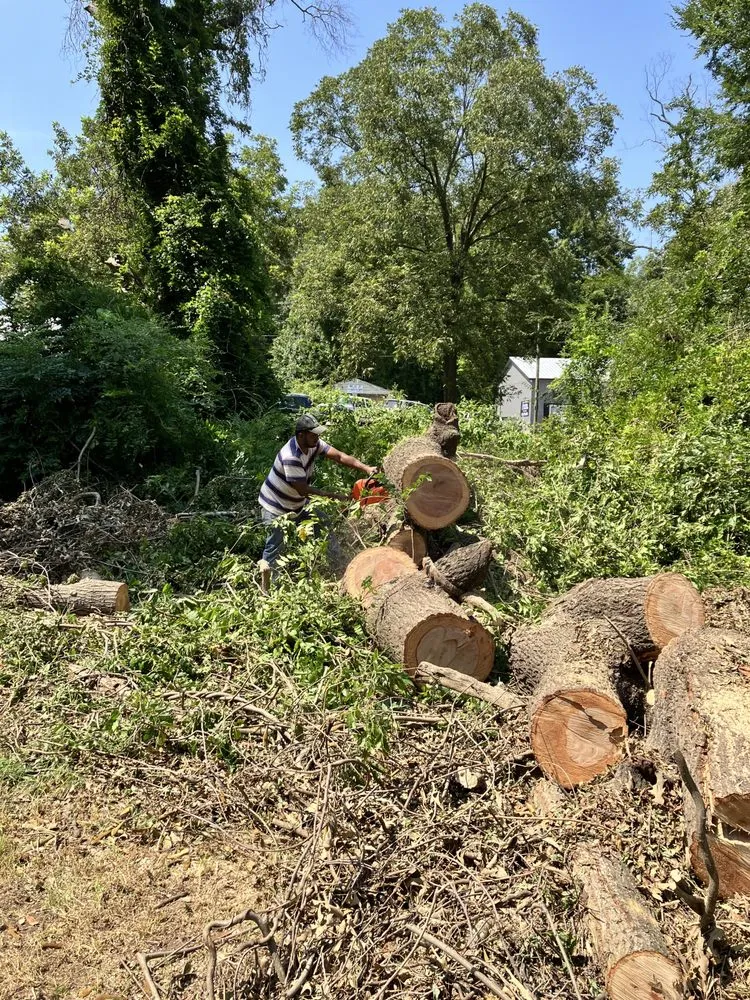 Slide of That guy landscaping