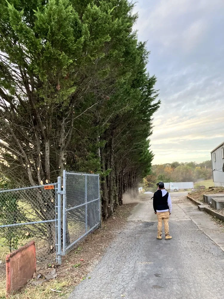 Slide of That guy landscaping