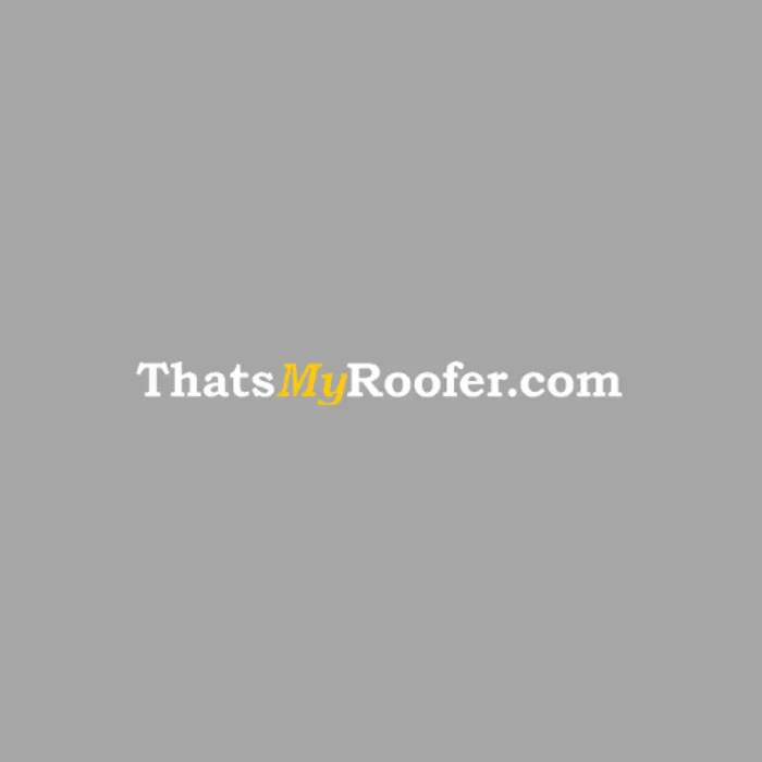 Slide of Thatsmyroofer.com