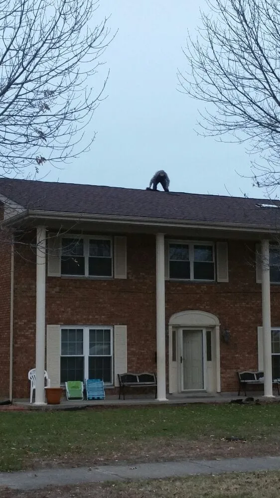 Slide of The Affordable Roofing Company | Dayton