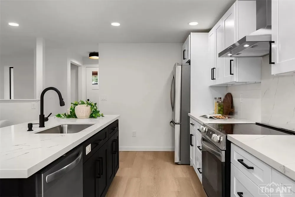 Slide of The Ant Team