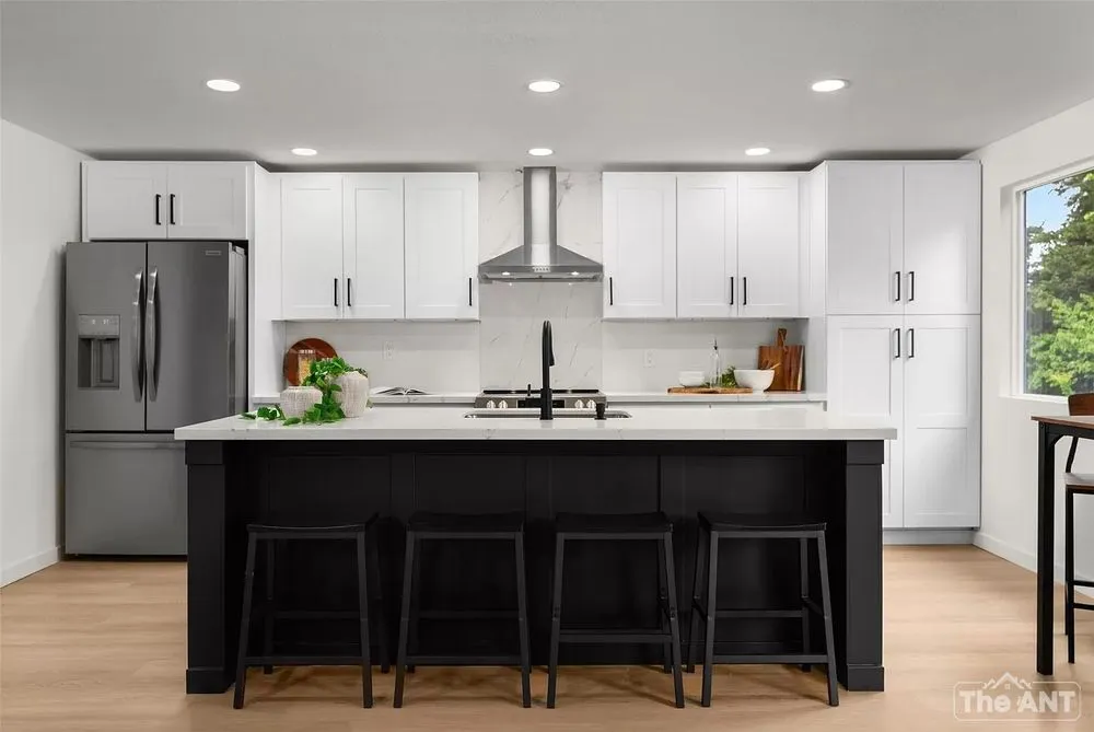 Slide of The Ant Team