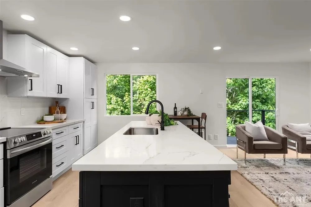 Slide of The Ant Team