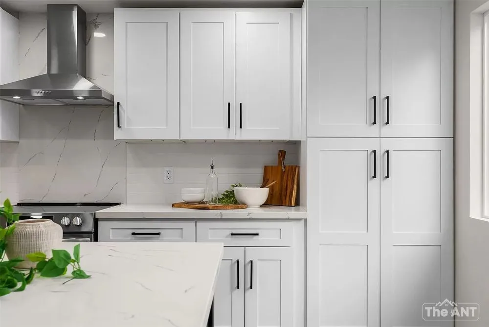 Slide of The Ant Team