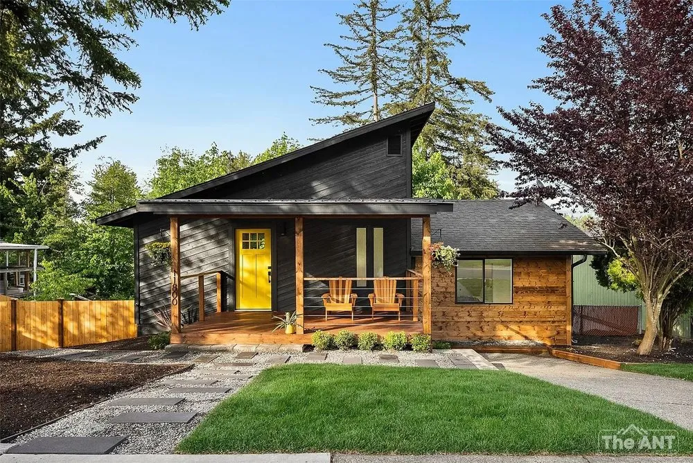 Slide of The Ant Team