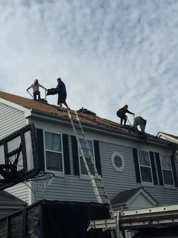 Slide of The Ark Restoration