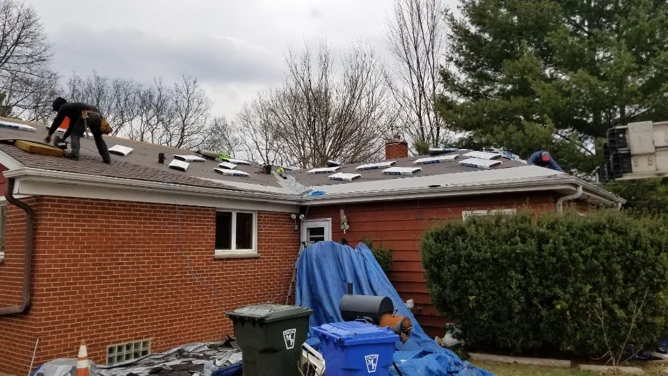 Slide of The Ark Restoration