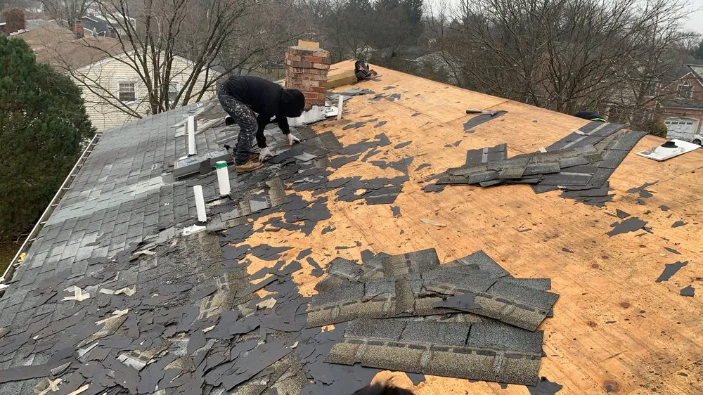 Slide of The Best American Construction