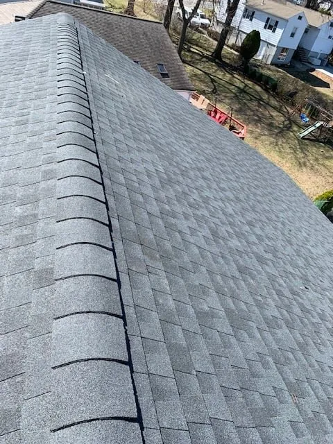 Slide of The Best American Construction