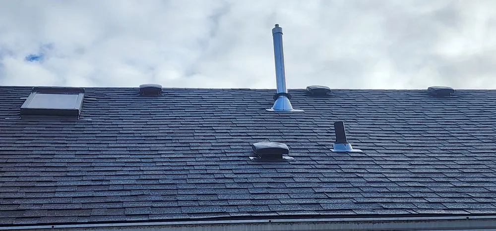 Slide of The Best Yard