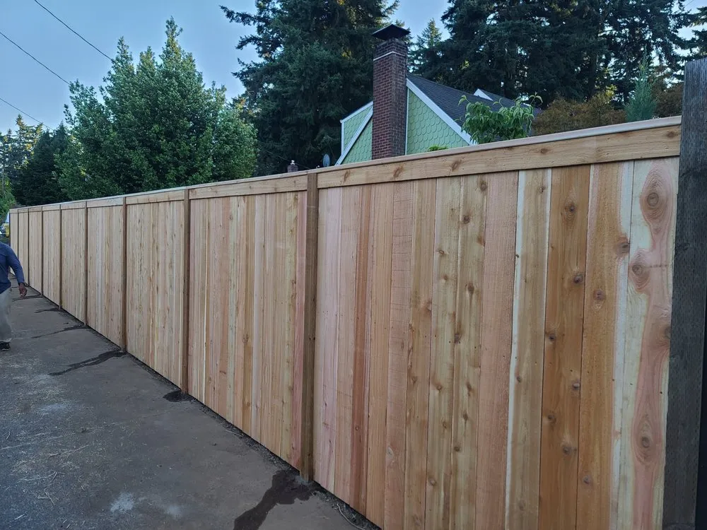 Slide of The Best Yard