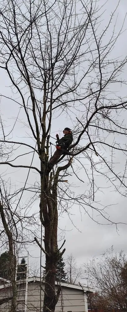 Slide of The Best Yard